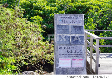 Mangrove forest on Miyakojima 124787178