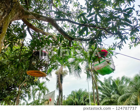 Two bird cages that have been hung from tree branches. Two bird cages that have been hung from tree branches. 124787737