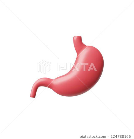3D vector illustration of human stomach. Digestive system. 124788166
