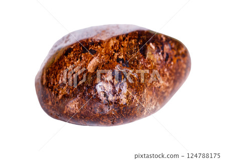 bronzite mineral stone on white background 124788175