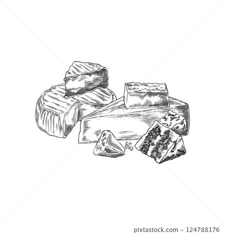 Different cheeses assortment vector sketch composition, engraved hand drawn Gorgonzola, Camembert, gruyere and parmesan Different cheeses assortment vector sketch composition, engraved hand drawn Gorgonzola, Camembert, gruyere and parmesan 124788176