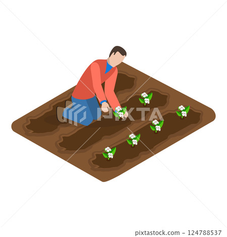 3D Isometric Flat Illustration of Cotton Farm. Item 3 3D Isometric Flat Illustration of Cotton Farm. Item 3 124788537