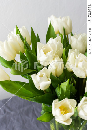 Elegant white tulips in a minimalist vase, placed in a modern living room setting, bringing freshness and tranquility to the spring-inspired interior decor Elegant white tulips in a minimalist vase, placed in a modern living room setting, bringing freshness and tranquility to the spring-inspired interior decor 124788638