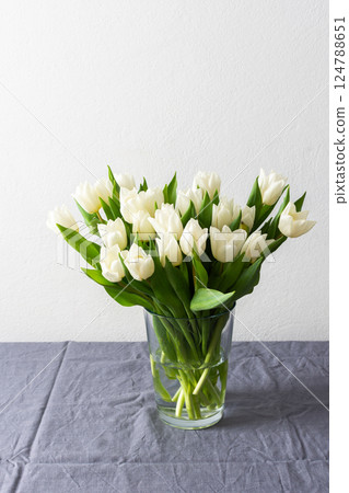 Elegant white tulips in a minimalist vase, placed in a modern living room setting, bringing freshness and tranquility to the spring-inspired interior decor Elegant white tulips in a minimalist vase, placed in a modern living room setting, bringing freshness and tranquility to the spring-inspired interior decor 124788651