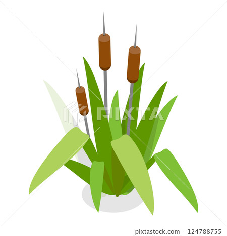 3D Isometric Flat  Set of Lake Aquatic Plants. Item 1 124788755