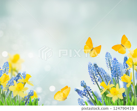 Spring bluebells and daffodils 124790419