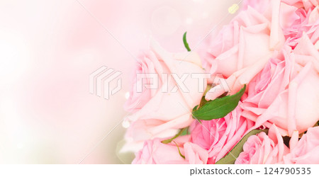 Pink blooming roses 124790535