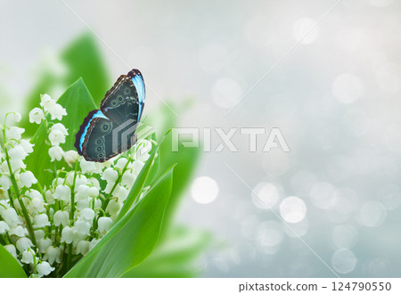 lilly of the valley flowers lilly of the valley flowers 124790550