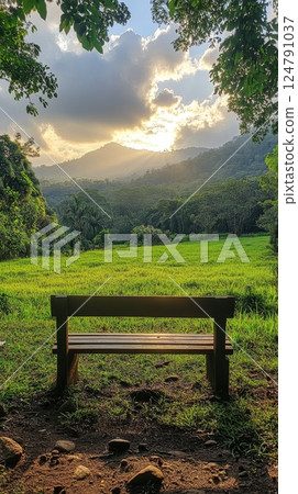 Scenic wooden bench overlooking lush green hills during a serene afternoon 124791037