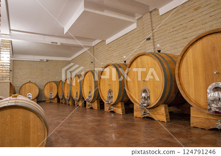 Wine huge barrels in the cellar of wine producer. Wine huge barrels in the cellar of wine producer. 124791246