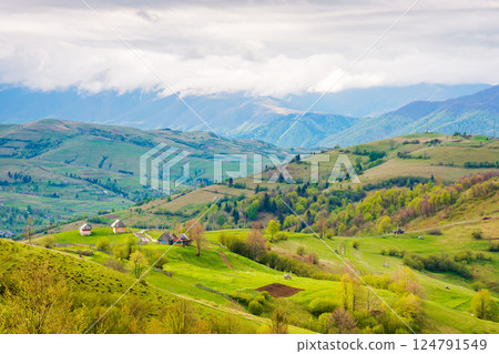 mountainous rural landscape in spring. amazing view of organic farmland. trees and agricultural fields on hills rolling in to the distant valley. ridge beneath a overcast sky in dappled light mountainous rural landscape in spring. amazing view of organic farmland. trees and agricultural fields on hills rolling in to the distant valley. ridge beneath a overcast sky in dappled light 124791549
