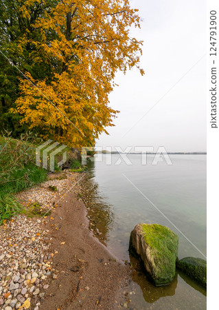 Forest walking path on the lake shore in autumn 124791900