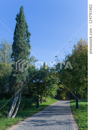 Walkway in the park in the summer 124791902