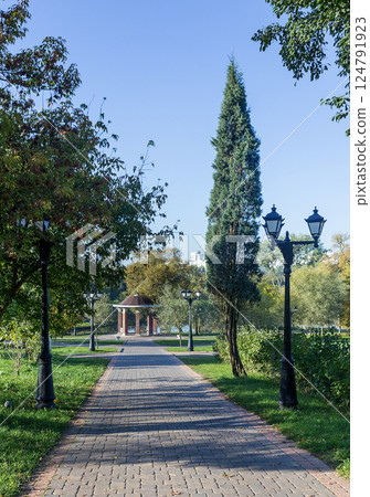 Walkway in the park in the summer Walkway in the park in the summer 124791923