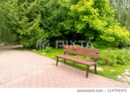 Walkway in the park in the summer Walkway in the park in the summer 124791972