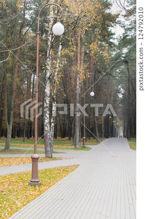 Walkway in the park in the summer Walkway in the park in the summer 124792010