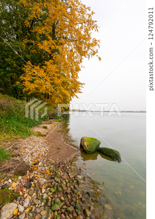 Forest walking path on the lake shore in autumn Forest walking path on the lake shore in autumn 124792011