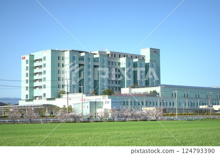 Rows of cherry blossom trees and Saga Prefectural Koseikan 124793390