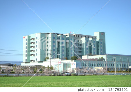 Rows of cherry blossom trees and Saga Prefectural Koseikan 124793391