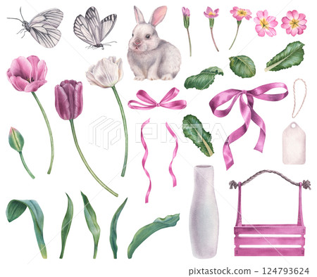 Spring set of tulips, primula flowers, green leaves, bunny, bows and butterflys. Hand drawn watercolor clip art of floral elements on isolated background. Perfect for polygraphy, planner, sticker 124793624