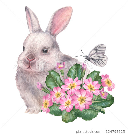 Easter fluffy white bunny with pink primula flowers and butterfly. Hand drawn watercolor illustration of baby rabbit and primrose on isolated background. Cute animal in pastel color for baby shower 124793625