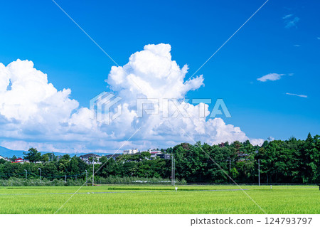 [夏季素材]夏季鄉村風光與積雨雲[長野縣] 124793797