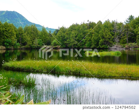 Scenery around Shibuike Pond, Shiga Kogen, Yamanouchi Town, Nagano Prefecture 124794502