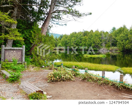 長野縣山之內町志賀高原涉池週邊風景 長野縣山之內町志賀高原涉池週邊風景 124794504