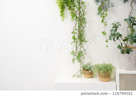 Walls decorated with ornamental plants Walls decorated with ornamental plants 124794581
