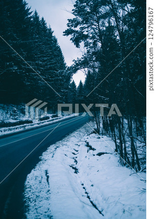 Inside The Snowy Forest In Romania  124796167