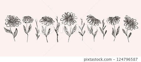 Set of delicate hand drawn sketch textured black flowers. Elegant outline ink drawing floral elements for women poster and feminine greeting card design, banner, logo, sticker Set of delicate hand drawn sketch textured black flowers. Elegant outline ink drawing floral elements for women poster and feminine greeting card design, banner, logo, sticker 124796587