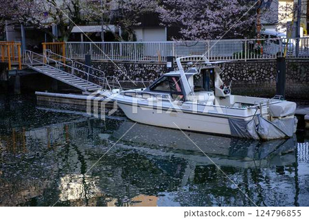 Cherry blossoms at the wharf in Kochi City 124796855