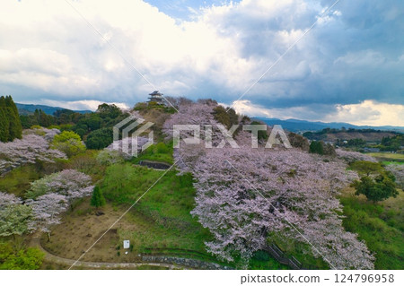 Aerial photo of Hydrangea Park in Miyakonojo City, R7 124796958