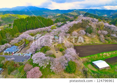 都城市繡球花公園的空拍照片,R7 都城市繡球花公園的空拍照片,R7 124796961