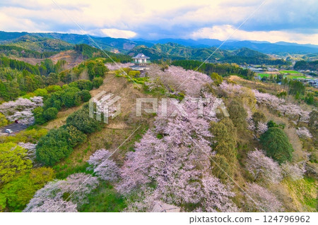 都城市繡球花公園的空拍照片，R7 124796962