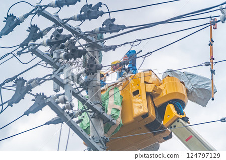 Crow's nest: Crow's nest on top of utility pole, removal work, cause of power outage Crow's nest: Crow's nest on top of utility pole, removal work, cause of power outage 124797129