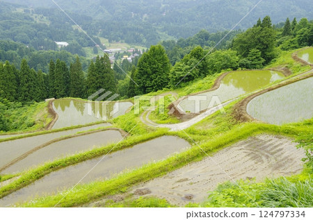 Rice terraces on Matsunoyama and Tensui Island in Tokamachi City Rice terraces on Matsunoyama and Tensui Island in Tokamachi City 124797334