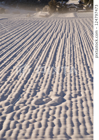 Rural landscape with snow - Snow patterns Rural landscape with snow - Snow patterns 124797473
