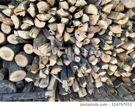 Cut and trimmed firewood 124797953