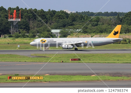 Cargo plane landing at Narita Airport Cargo plane landing at Narita Airport 124798374
