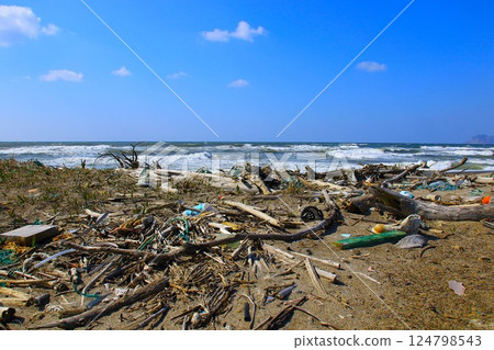 [Juso, Aomori Prefecture] The sea and driftwood 124798543