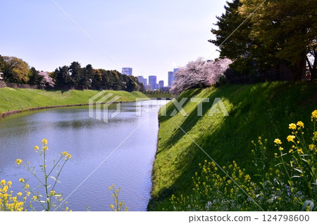 Hanzo Moat 國會議事堂 124798600