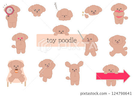 Cute apricot colored toy poodle character illustration set 124798641