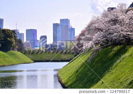 Hanzo Moat, National Diet Building, Supreme Court 124798817