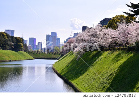 Hanzo Moat, National Diet Building, Supreme Court Hanzo Moat, National Diet Building, Supreme Court 124798818
