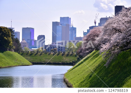 半藏護城河、國會議事堂、最高法院 124798819