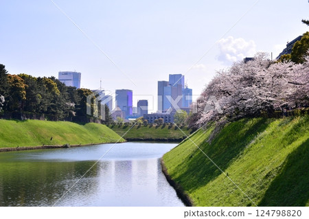 半藏護城河、國會議事堂、最高法院 124798820