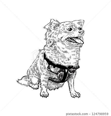 Chihuahua dog sketch drawn in doodle Chihuahua dog sketch drawn in doodle 124798959