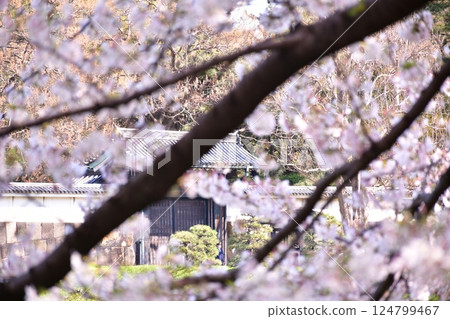 江戶城堡遺址 124799467