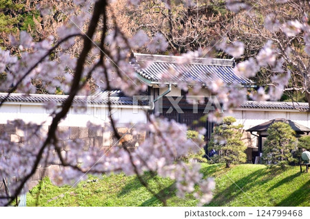 江戶城堡遺址 江戶城堡遺址 124799468